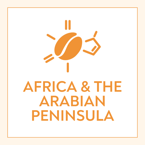 Africa and The Arabian Peninsula