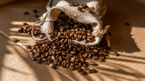 Disfrute de un mejor café