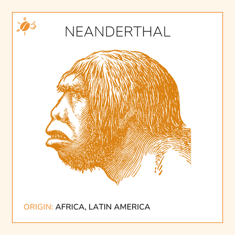 Neanderthal