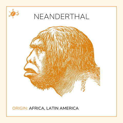 neanderthal