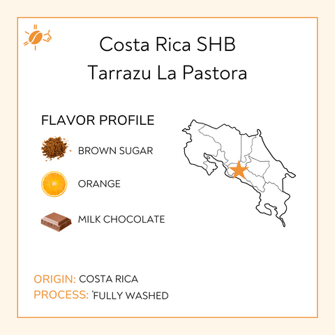 Costa Rican