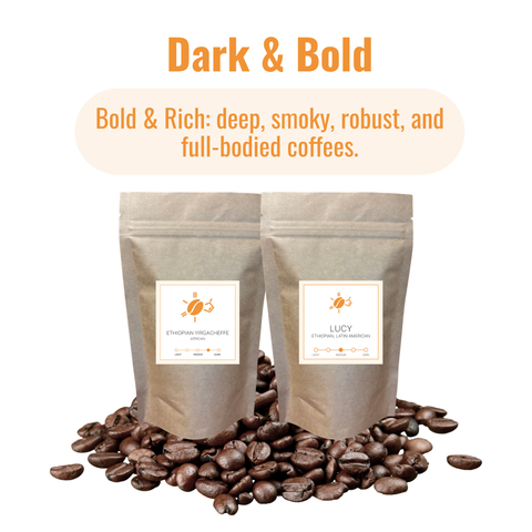 Daily Brew Starter Kit