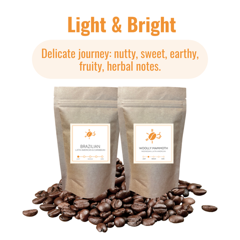 Daily Brew Starter Kit